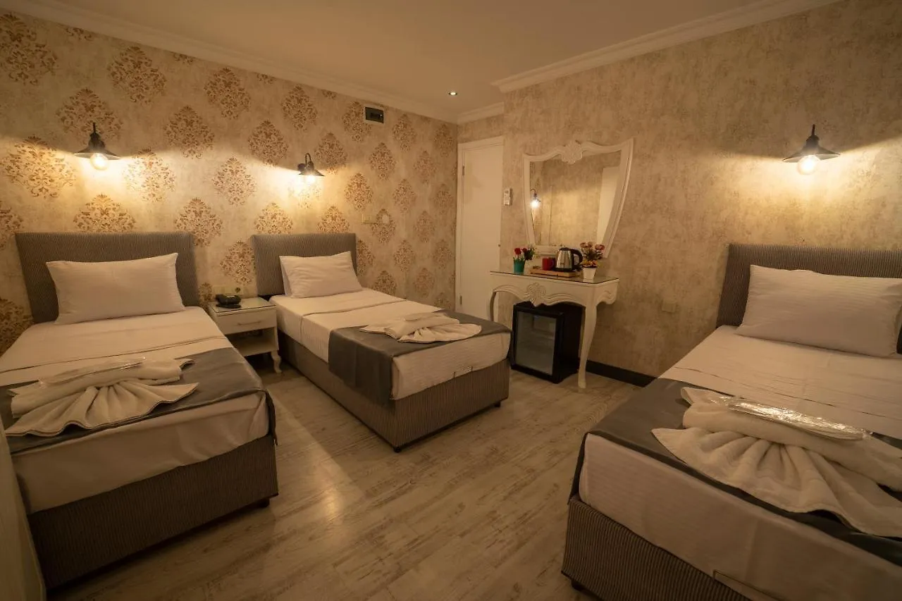 Old City Viva Hotel Стамбул 3*,  Турция